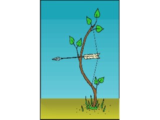 Sticker Custom Preview Image #057326 Fantasy Medieval Images Tree Bow