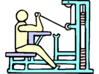 Sticker Custom Preview Image #058718 Fitness Equipment People Biceps17