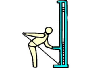 Sticker Custom Preview Image #058964 Fitness Equipment People Triceps17