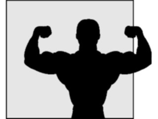 Sticker Custom Preview Image #059000 Fitness Silhouettes Body Builder