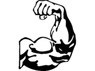 Sticker Custom Preview Image #059069 Fitness Stretching Exercise Body Building Bicep1