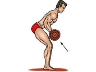 Sticker Custom Preview Image #059312 Fitness Stretching Exercise Weight Lifting50