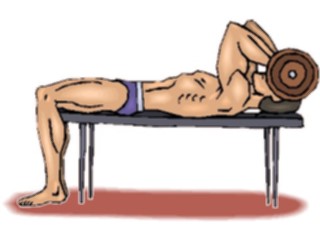Sticker Custom Preview Image #059318 Fitness Stretching Exercise Weight Lifting56