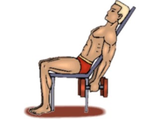 Sticker Custom Preview Image #059320 Fitness Stretching Exercise Weight Lifting58