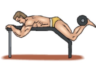 Sticker Custom Preview Image #059323 Fitness Stretching Exercise Weight Lifting61