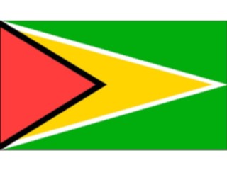 Sticker Custom Preview Image #059806 Flags World Guyana1
