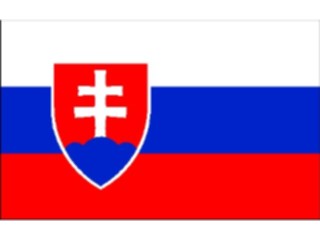 Sticker Custom Preview Image #059999 Flags World Slovakia1