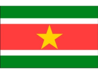 Sticker Custom Preview Image #060028 Flags World Suriname1
