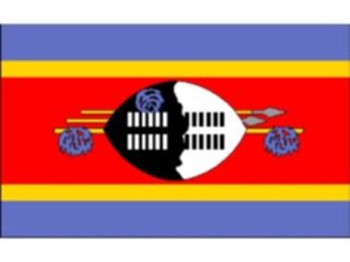 Sticker Custom Preview Image #060030 Flags World Swaziland