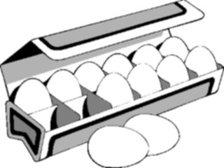 Sticker Custom Preview Image #062904 Food Drink Eggs Carton6