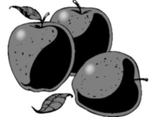 Sticker Custom Preview Image #063639 Food Drink Fruits Apples02
