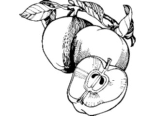 Sticker Custom Preview Image #063640 Food Drink Fruits Apples03
