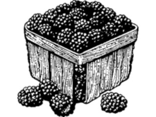 Sticker Custom Preview Image #063746 Food Drink Fruits Blackberries1