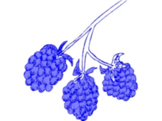 Sticker Custom Preview Image #063747 Food Drink Fruits Blackberries2