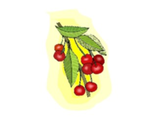 Sticker Custom Preview Image #063796 Food Drink Fruits Cherries38