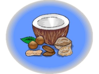 Sticker Custom Preview Image #063816 Food Drink Fruits Coconut3