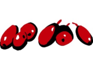 Sticker Custom Preview Image #063820 Food Drink Fruits Cranberries