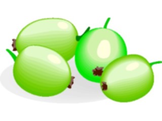 Sticker Custom Preview Image #063864 Food Drink Fruits Gooseberries