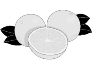 Sticker Custom Preview Image #063865 Food Drink Fruits Grapefruit1