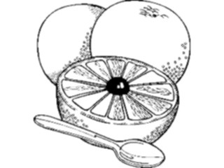 Sticker Custom Preview Image #063867 Food Drink Fruits Grapefruit3