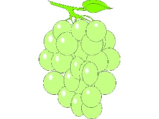 Sticker Custom Preview Image #063874 Food Drink Fruits Grapes01