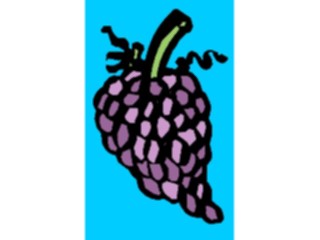 Sticker Custom Preview Image #063877 Food Drink Fruits Grapes04