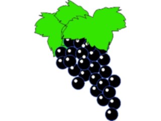 Sticker Custom Preview Image #063880 Food Drink Fruits Grapes07