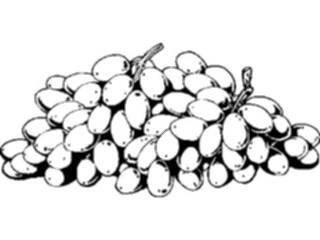 Sticker Custom Preview Image #063882 Food Drink Fruits Grapes09