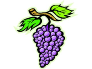 Sticker Custom Preview Image #063892 Food Drink Fruits Grapes19
