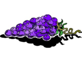 Sticker Custom Preview Image #063901 Food Drink Fruits Grapes28