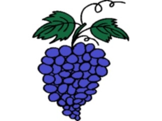 Sticker Custom Preview Image #063907 Food Drink Fruits Grapes34