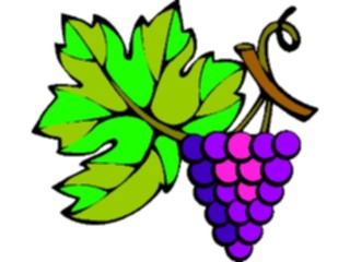Sticker Custom Preview Image #063913 Food Drink Fruits Grapes40