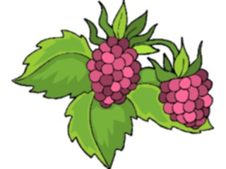 Sticker Custom Preview Image #063917 Food Drink Fruits Grapes44