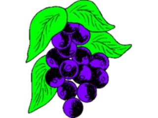 Sticker Custom Preview Image #063923 Food Drink Fruits Grapes50