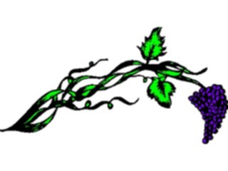 Sticker Custom Preview Image #063925 Food Drink Fruits Grapes52