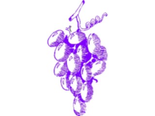 Sticker Custom Preview Image #063930 Food Drink Fruits Grapes57