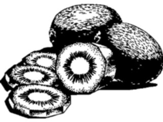 Sticker Custom Preview Image #063948 Food Drink Fruits Kiwi02