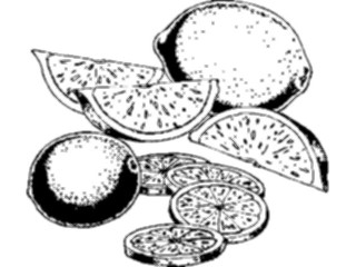 Sticker Custom Preview Image #063978 Food Drink Fruits Lemon Lime1