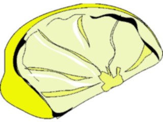 Sticker Custom Preview Image #063990 Food Drink Fruits Lemon Wedge4
