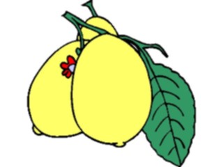 Sticker Custom Preview Image #063995 Food Drink Fruits Lemons5
