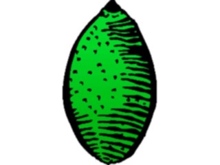 Sticker Custom Preview Image #064000 Food Drink Fruits Lime03