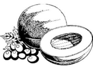 Sticker Custom Preview Image #064018 Food Drink Fruits Muskmelon