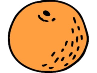 Sticker Custom Preview Image #064047 Food Drink Fruits Orange13