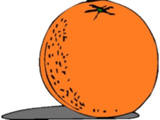 Sticker Custom Preview Image #064050 Food Drink Fruits Orange16