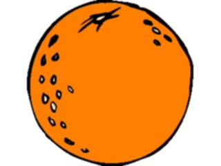 Sticker Custom Preview Image #064052 Food Drink Fruits Orange18