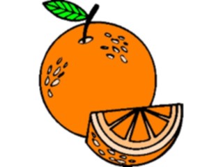 Sticker Custom Preview Image #064053 Food Drink Fruits Orange19
