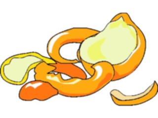 Sticker Custom Preview Image #064059 Food Drink Fruits Orange Peels
