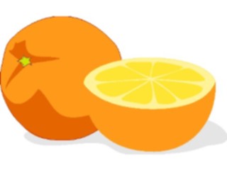 Sticker Custom Preview Image #064075 Food Drink Fruits Oranges03