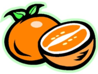 Sticker Custom Preview Image #064076 Food Drink Fruits Oranges04