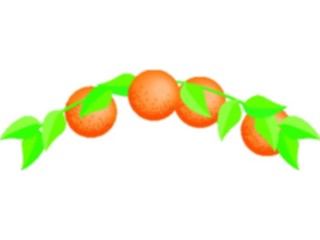 Sticker Custom Preview Image #064077 Food Drink Fruits Oranges05